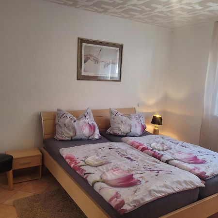 Ferienwohnung Jasmin In Schoenau Bei Heidelberg Fewo 2 เชอเนา ภายนอก รูปภาพ