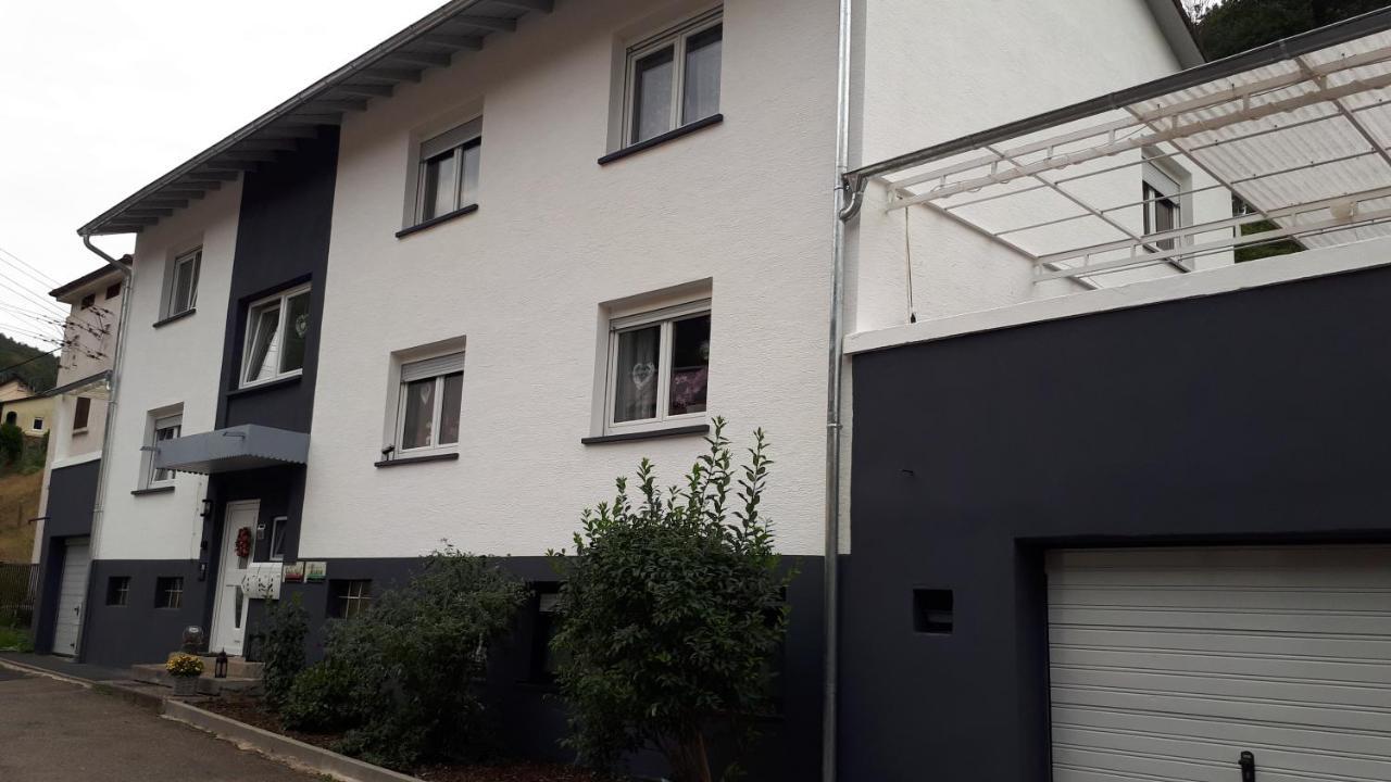 Ferienwohnung Jasmin In Schoenau Bei Heidelberg Fewo 2 เชอเนา ภายนอก รูปภาพ
